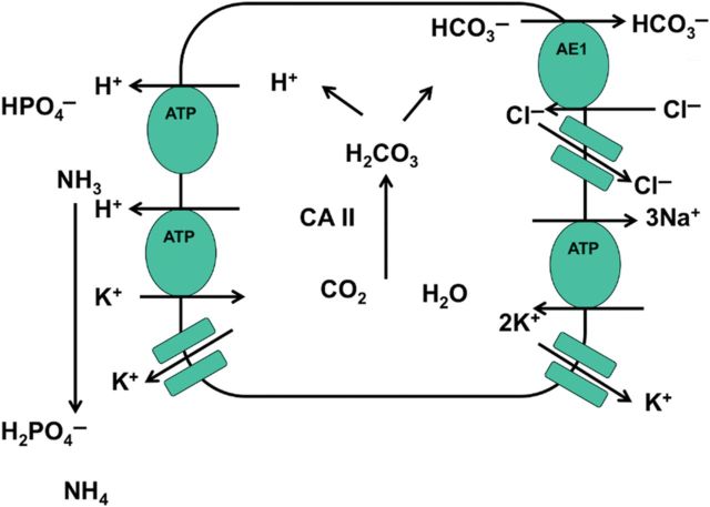 Fig. 2.