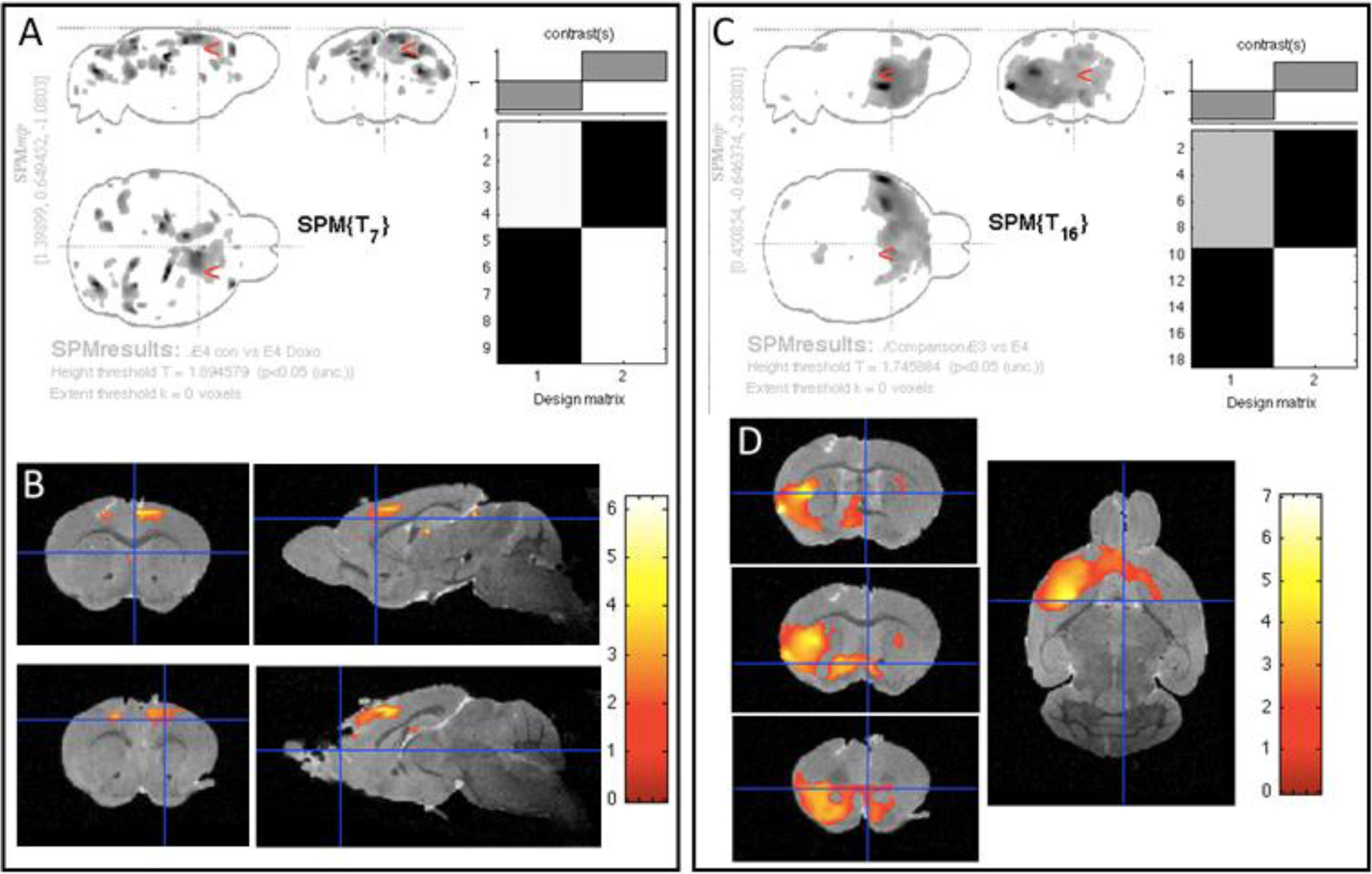 Figure 6: