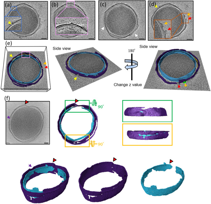 Fig. 3