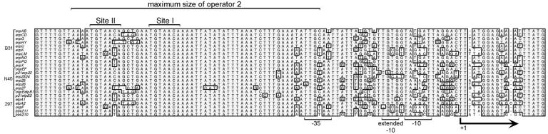 FIG. 1.