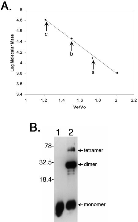 FIG. 5.