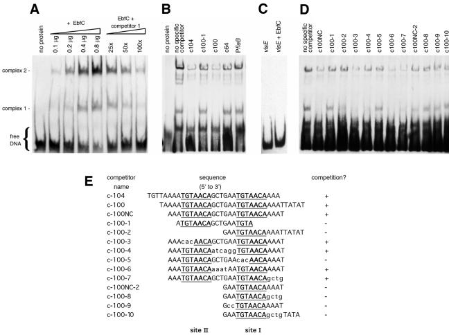 FIG. 4.