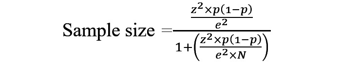 graphic file with name formative_v8i1e60000_fig4.jpg