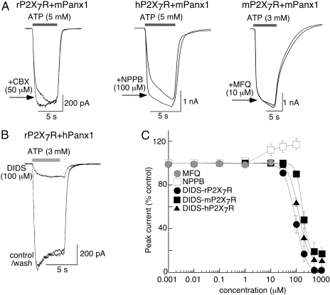 Fig. 7.