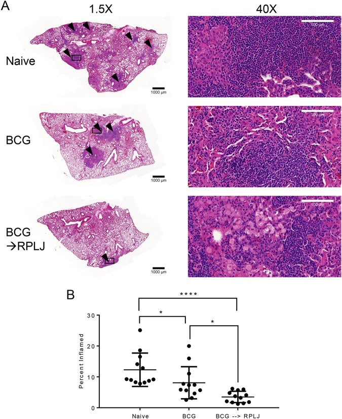 FIG 6