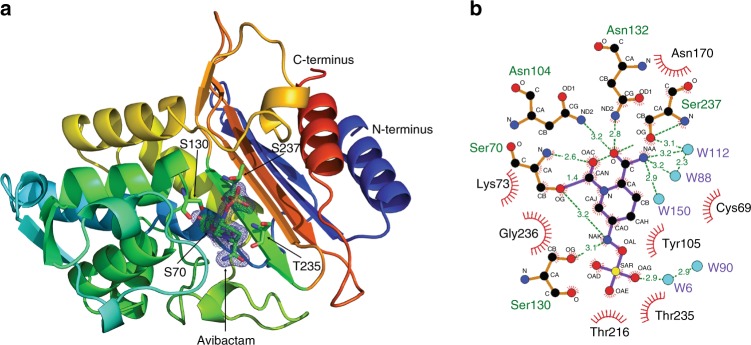 Fig. 6