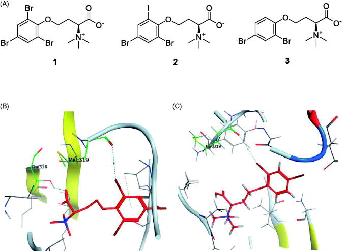 Figure 6.