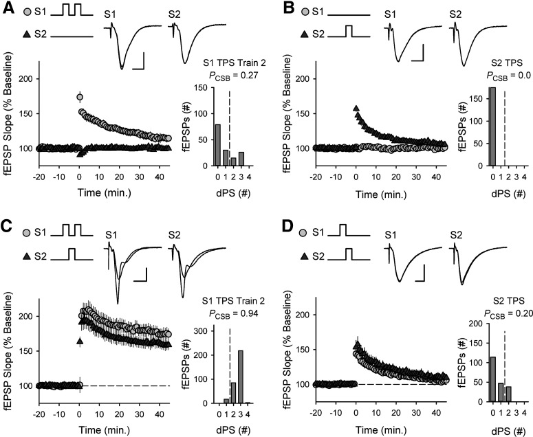 Figure 11.