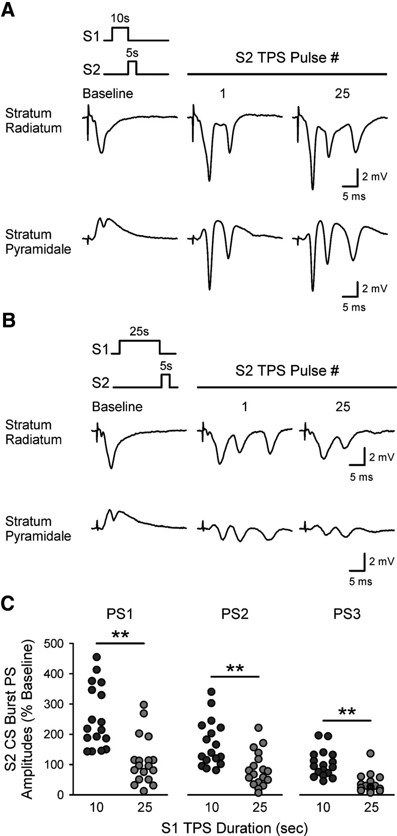 Figure 9.