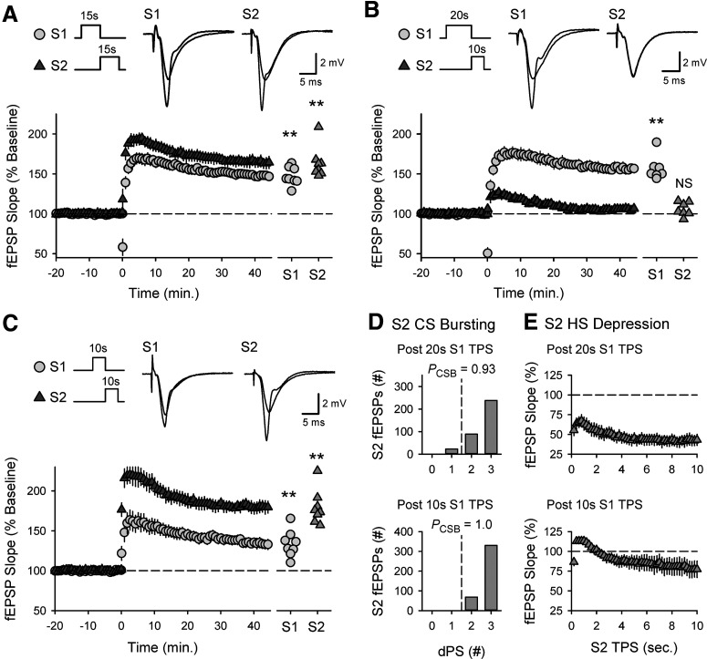 Figure 10.