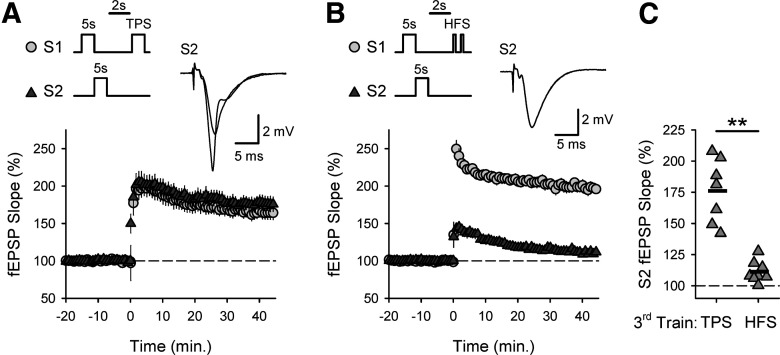 Figure 13.