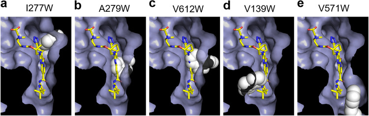 FIG 4