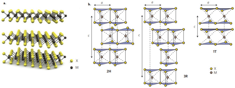 Figure 76