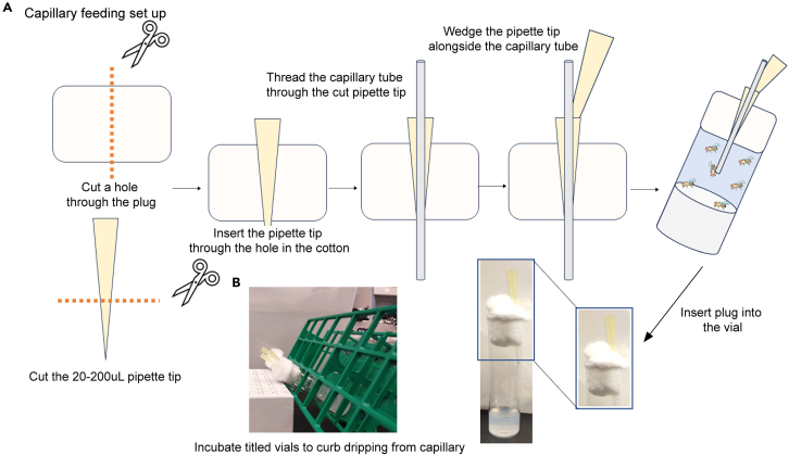 Figure 3