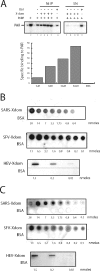 FIG. 6.