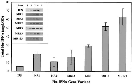 FIG. 2.