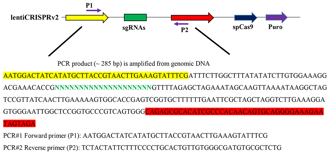 Figure 2: