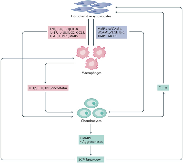 Fig. 4 ∣