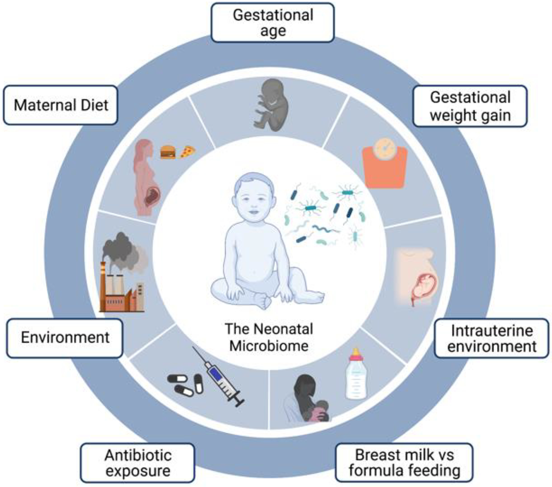 Figure 2: