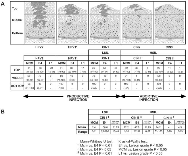 FIG. 9.