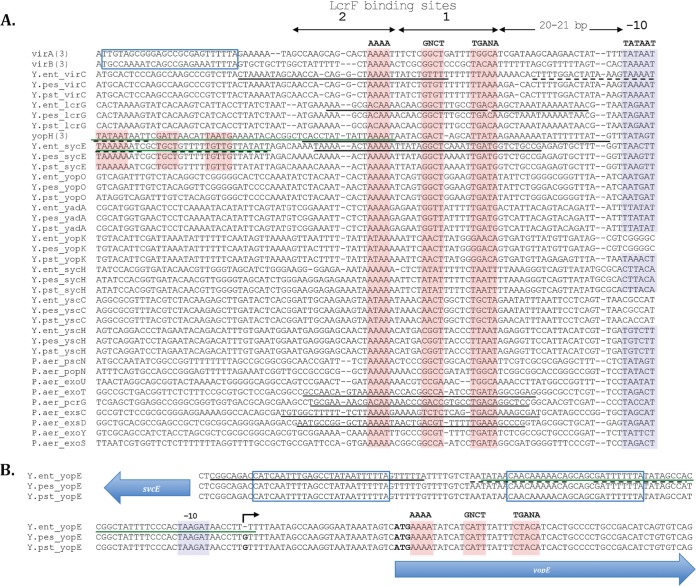 FIG 1