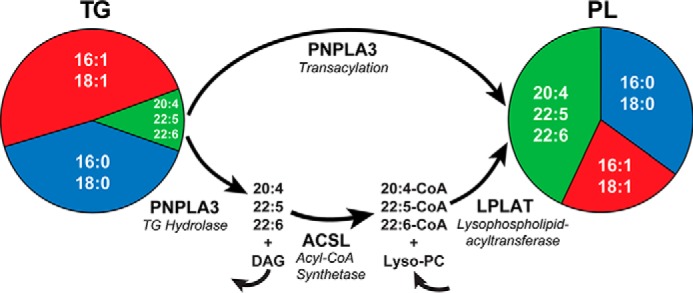 Figure 10.