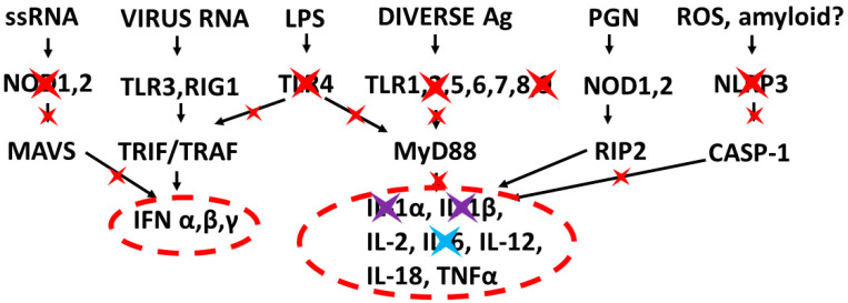 Figure 12