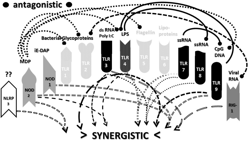 Figure 9