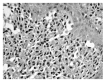 Fig. (2)