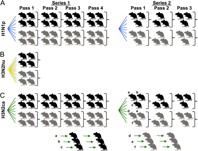 FIG 2