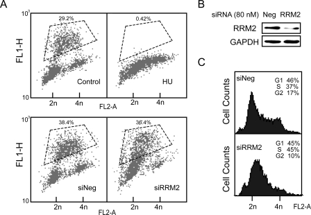 FIGURE 2.