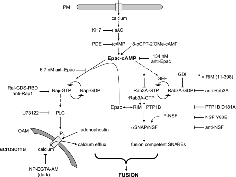 FIGURE 9.