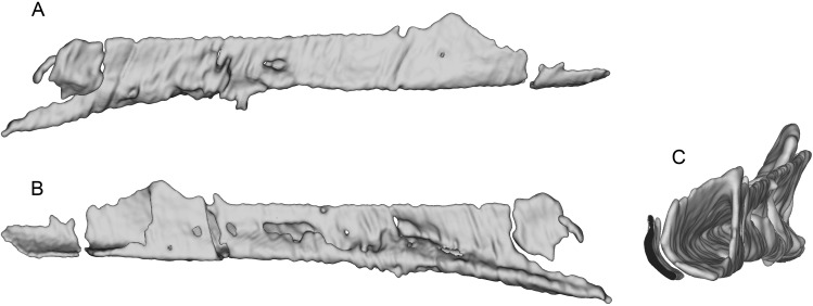 Figure 9