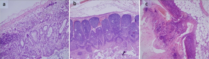 Figure 2. a–c