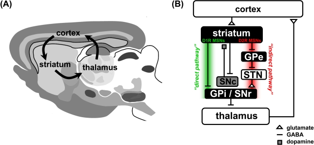 Fig. (1)