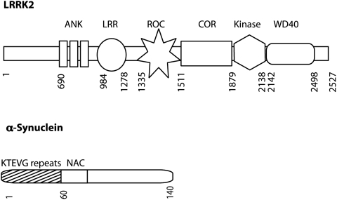 FIG. 7.