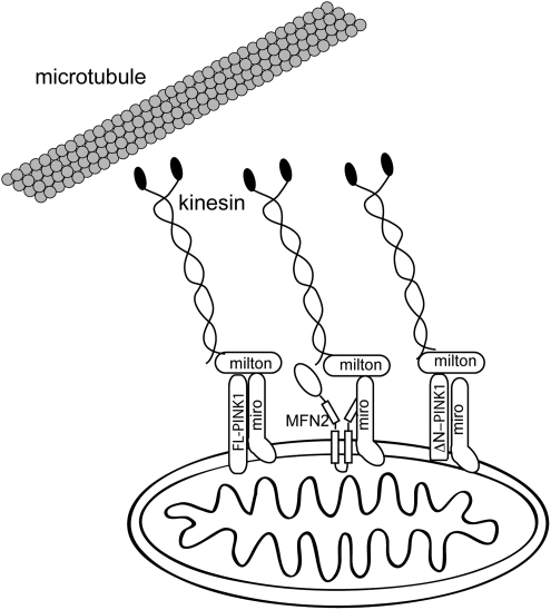 FIG. 5.