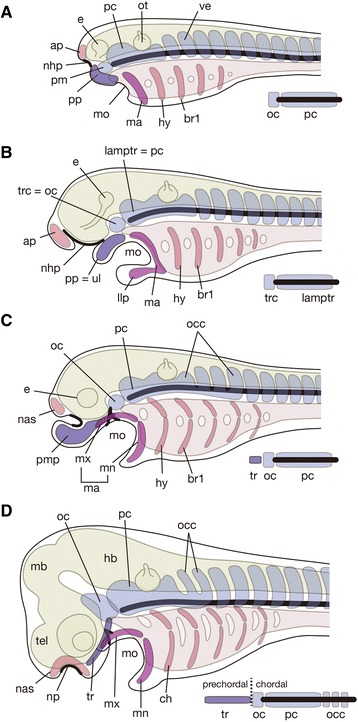 Fig. 6