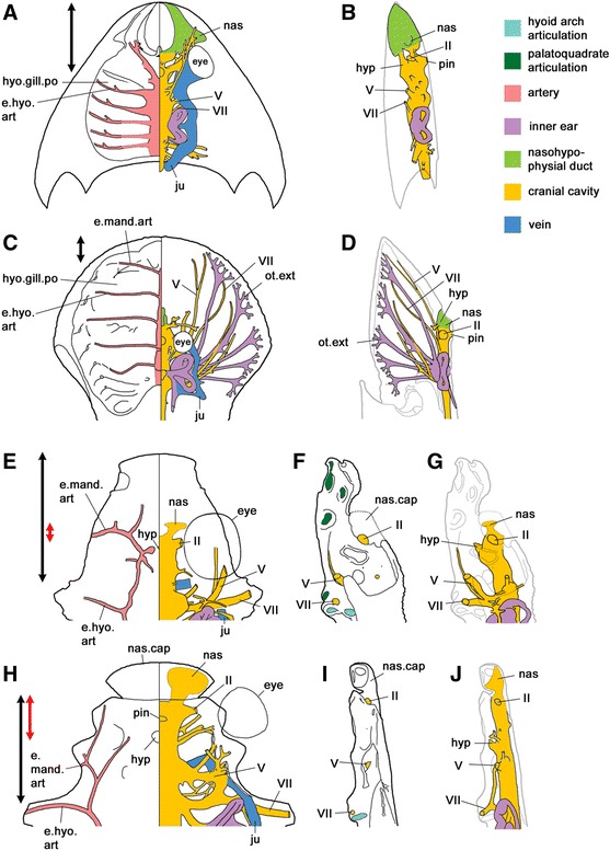 Fig. 5