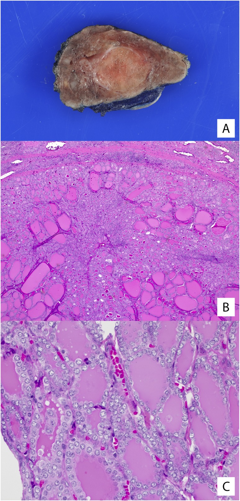 Figure 3.