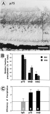 Fig. 10.