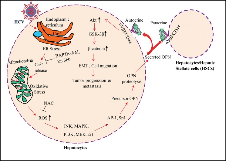 FIGURE 10.