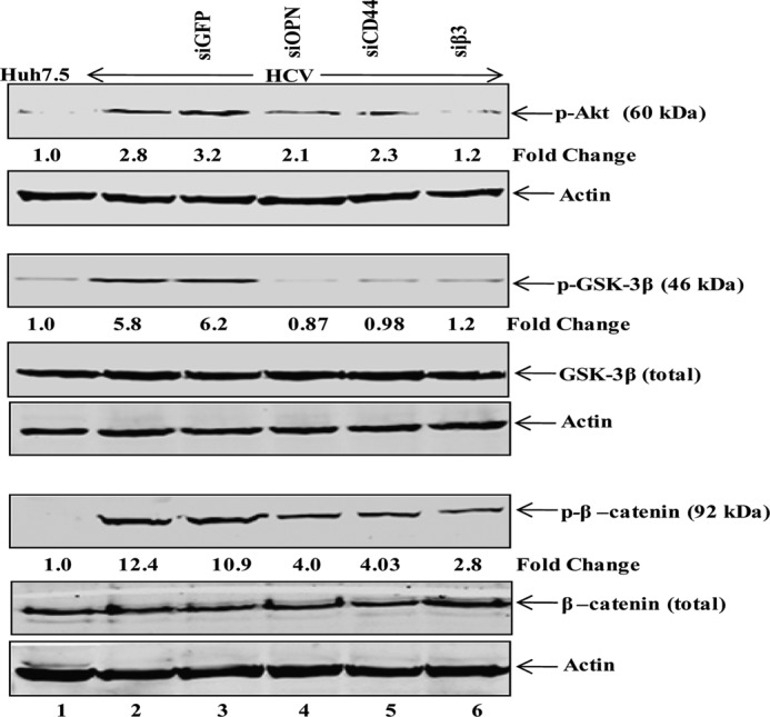 FIGURE 9.