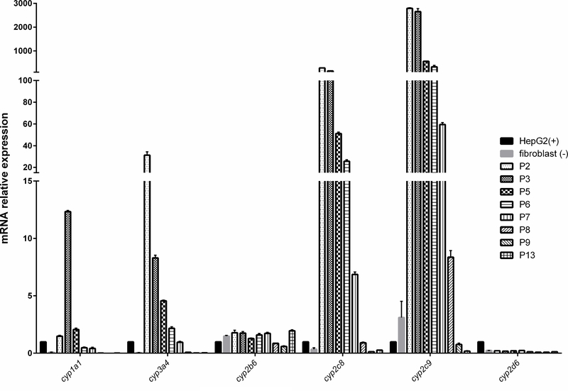 Figure 4.