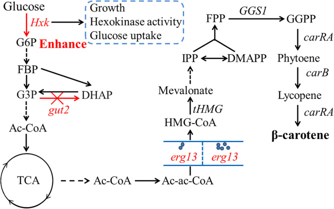 FIGURE 1