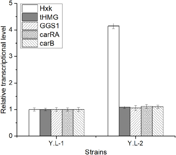 FIGURE 4