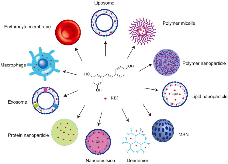 Figure 2.