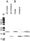 FIG. 1.