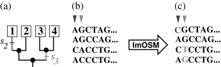 Fig 2.