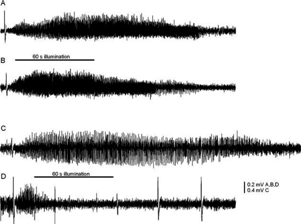 FIGURE 4